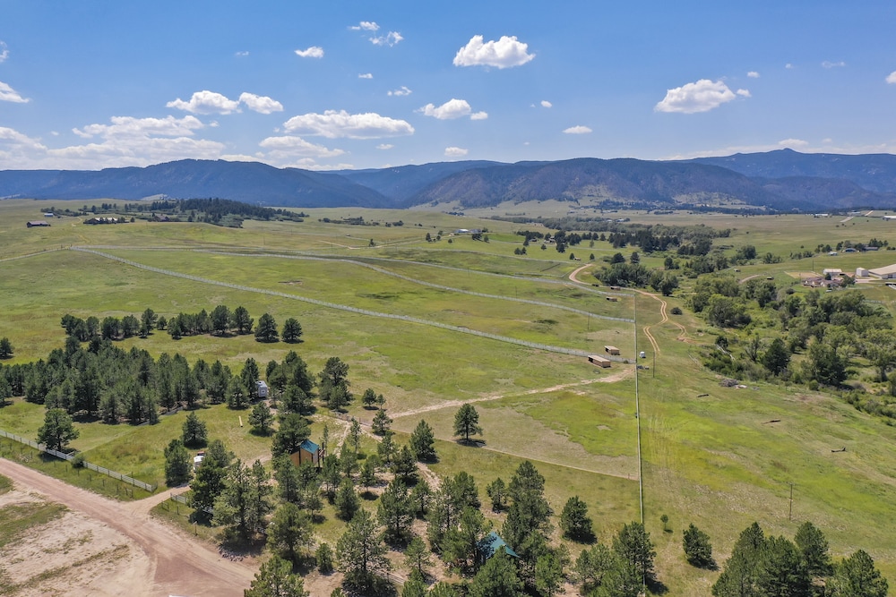 Tree Eagles Nest view 5