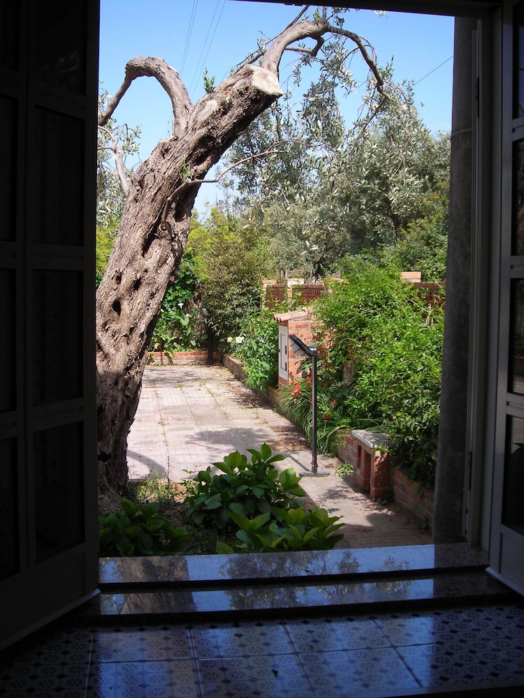 Photo 22