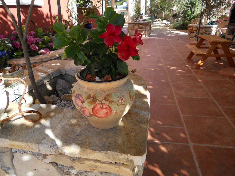 Photo 14