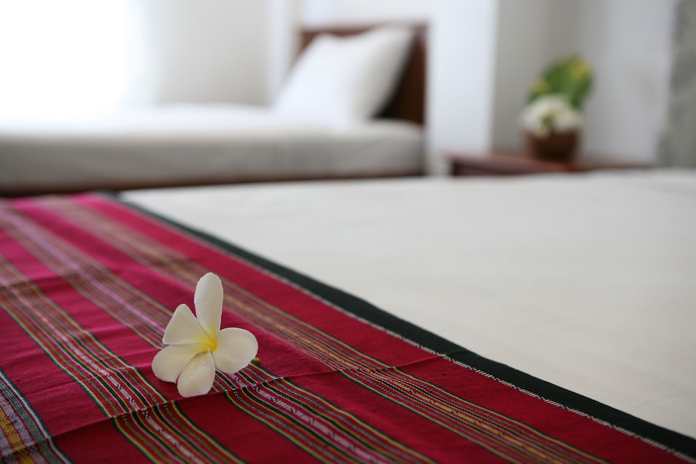 Alisa Guesthouse