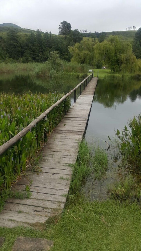 Photo 29