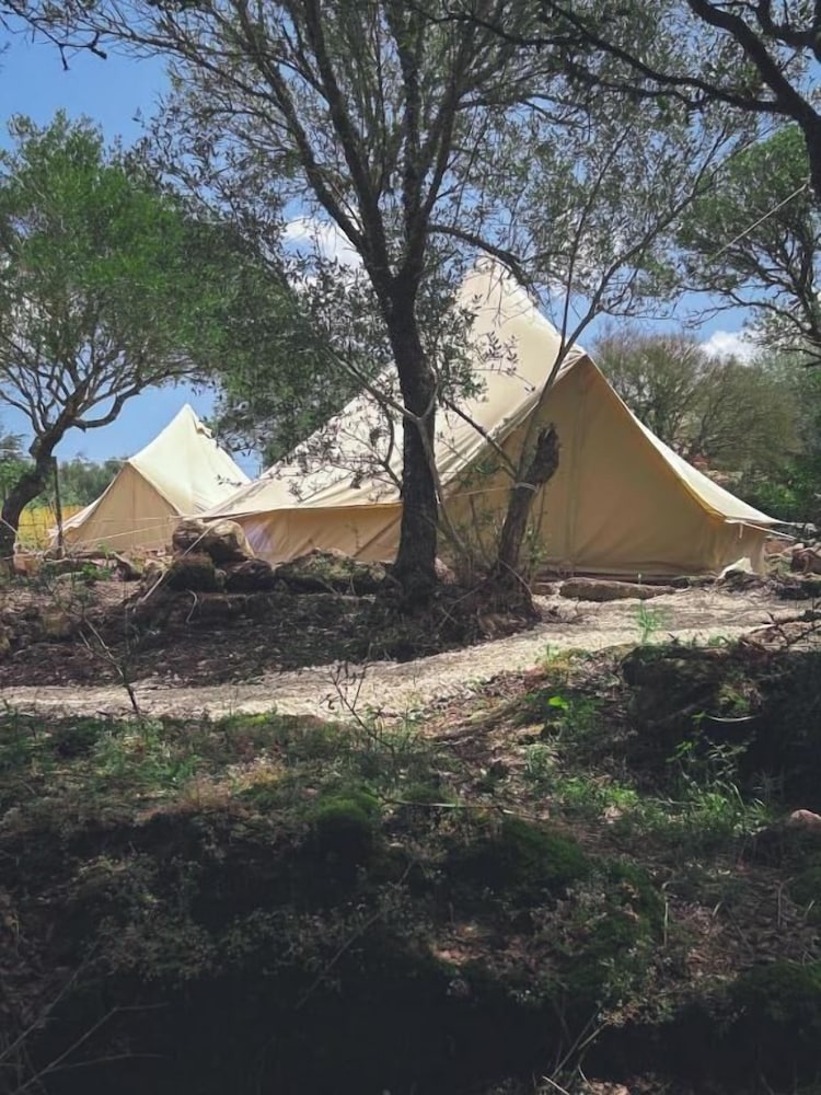 Pasare Glamping