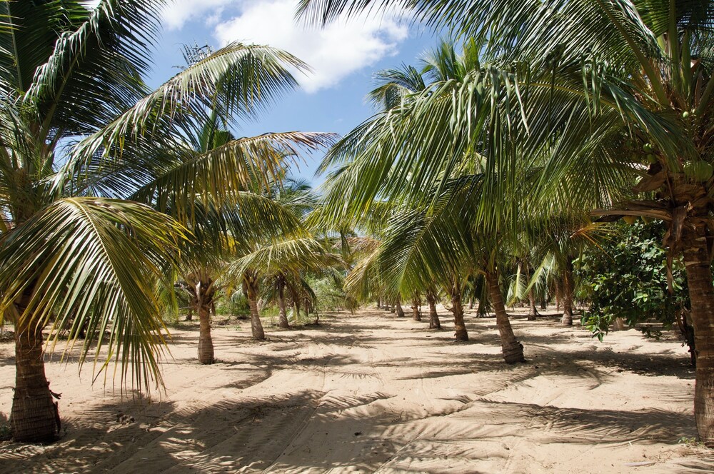 NORTHJOY RESORT