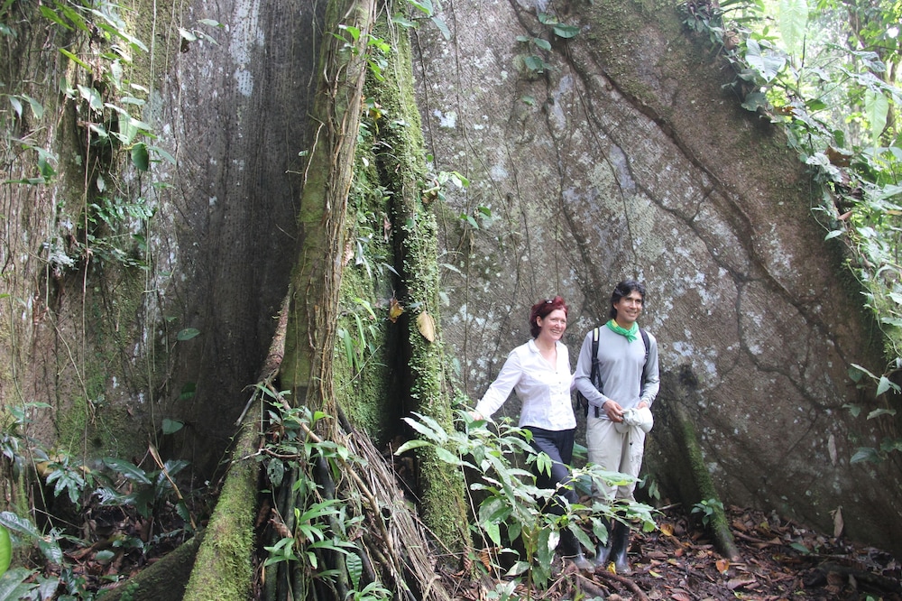 Green forest Ecolodge