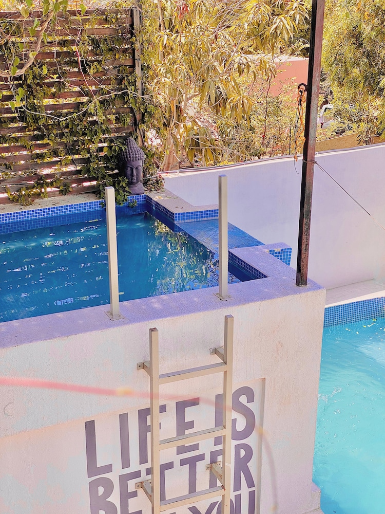 Perro Surfero Hotel Boutique - Todos Santos, BCS