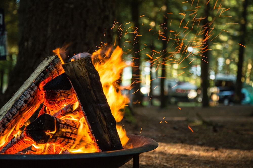 Paradise RV Campground