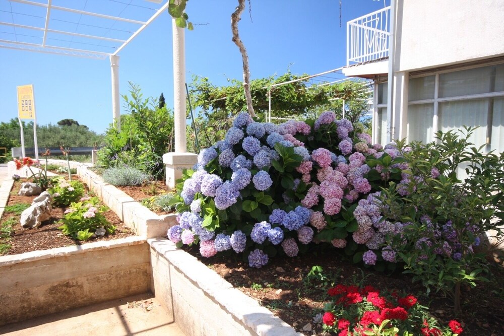 Photo 20