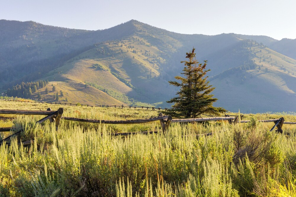 other