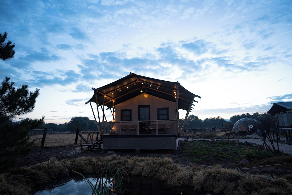 Glamping Reino Animal