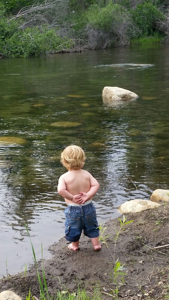 Photo 197
