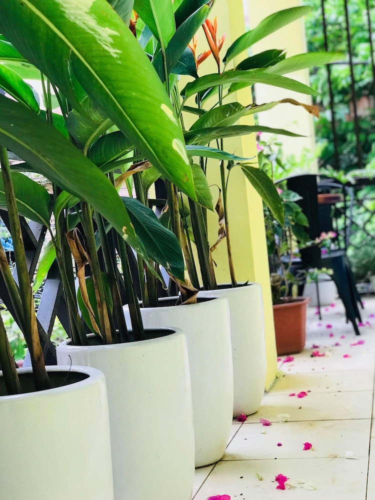 Alley Garden Homestay