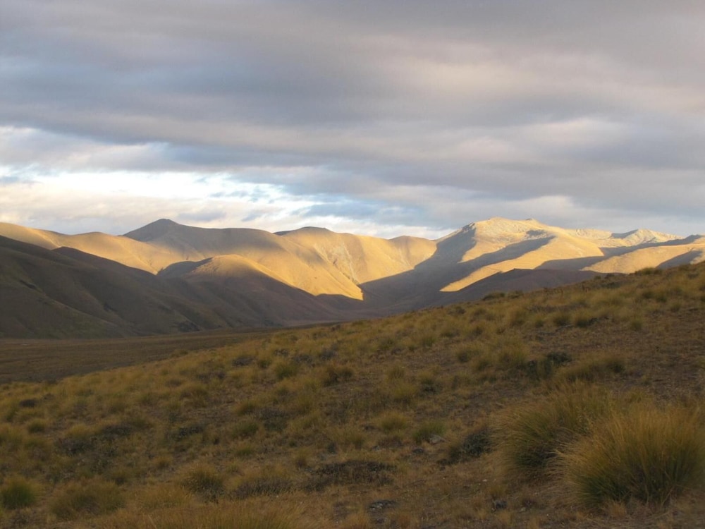 Dunstan Downs High Country Sheep Station