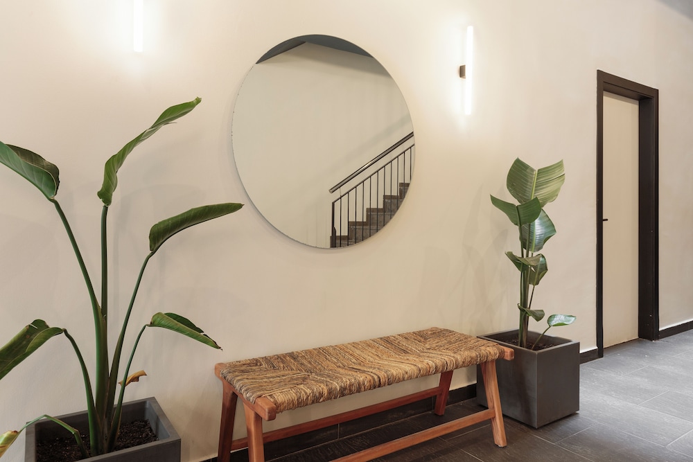 Casanova Apartments By Olala Homes