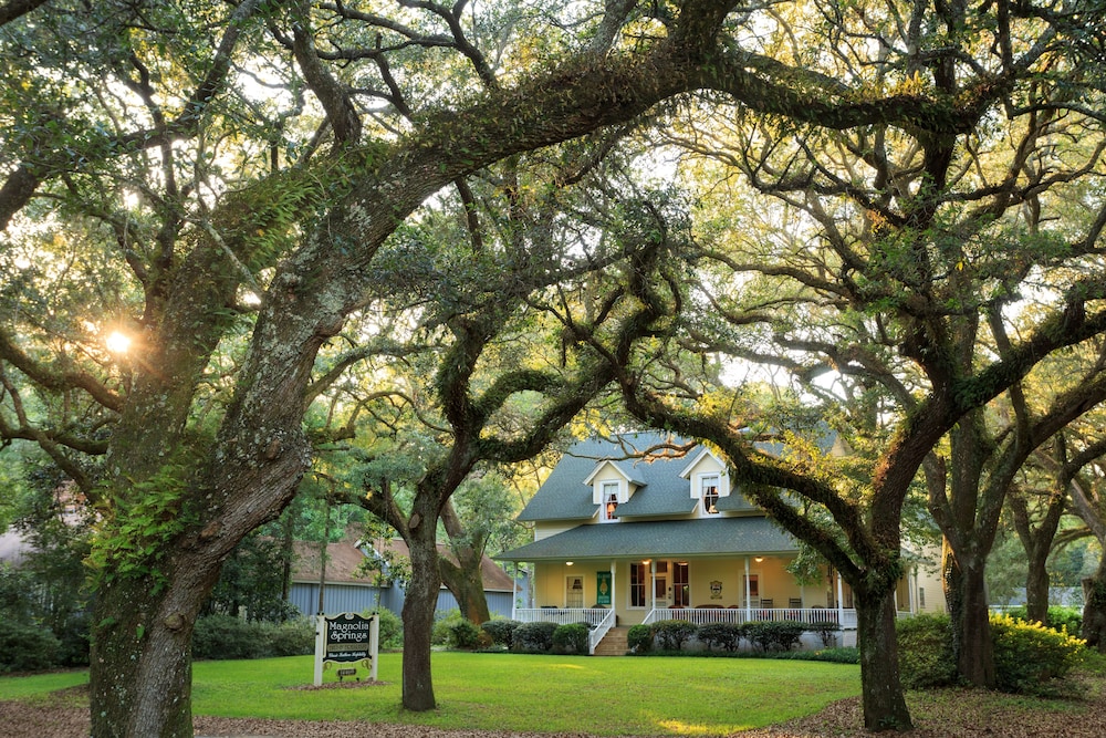 Magnolia Springs B&B