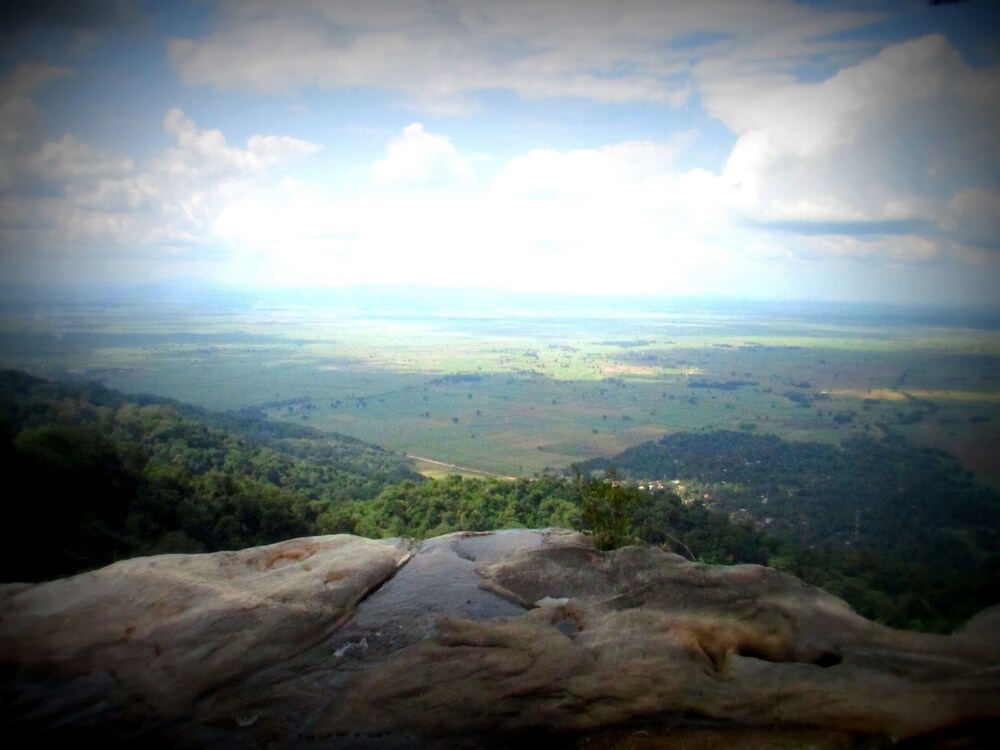 Udzungwa Forest Camp