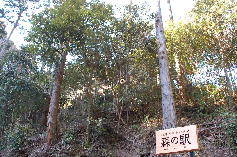 Guesthouse Mori No Eki view 2