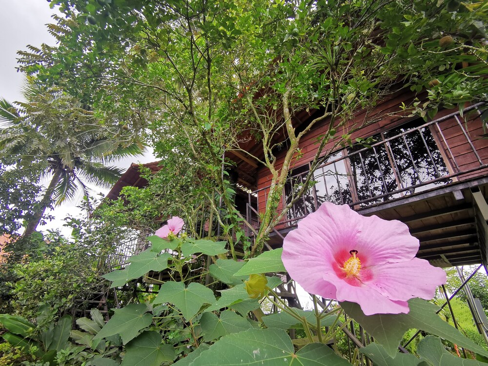 Las Cabanas