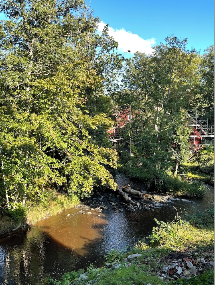 Forest house view 5