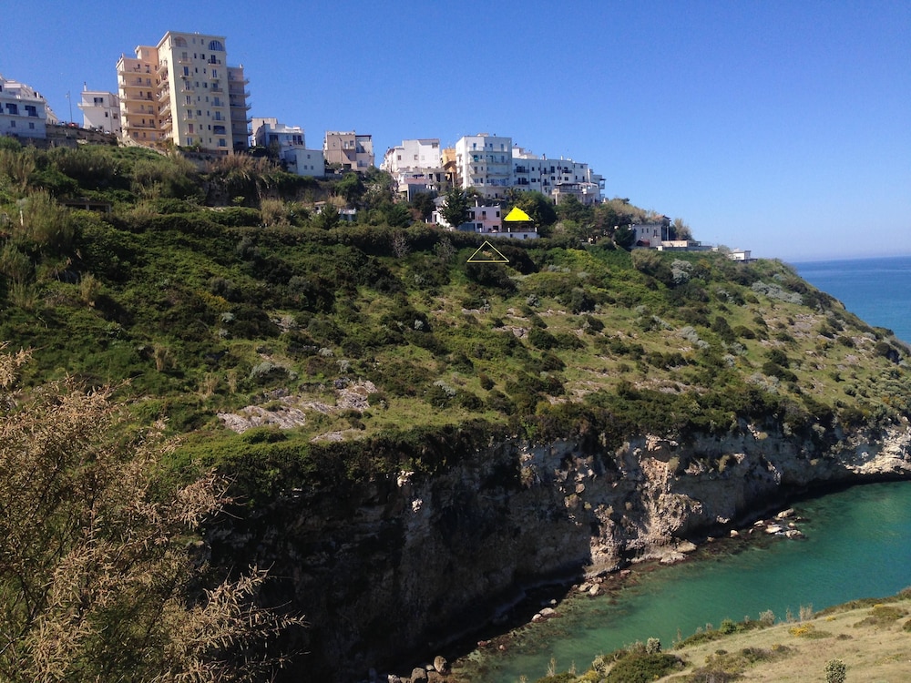 Photo 40