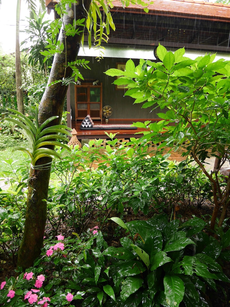 Baankiri view 4