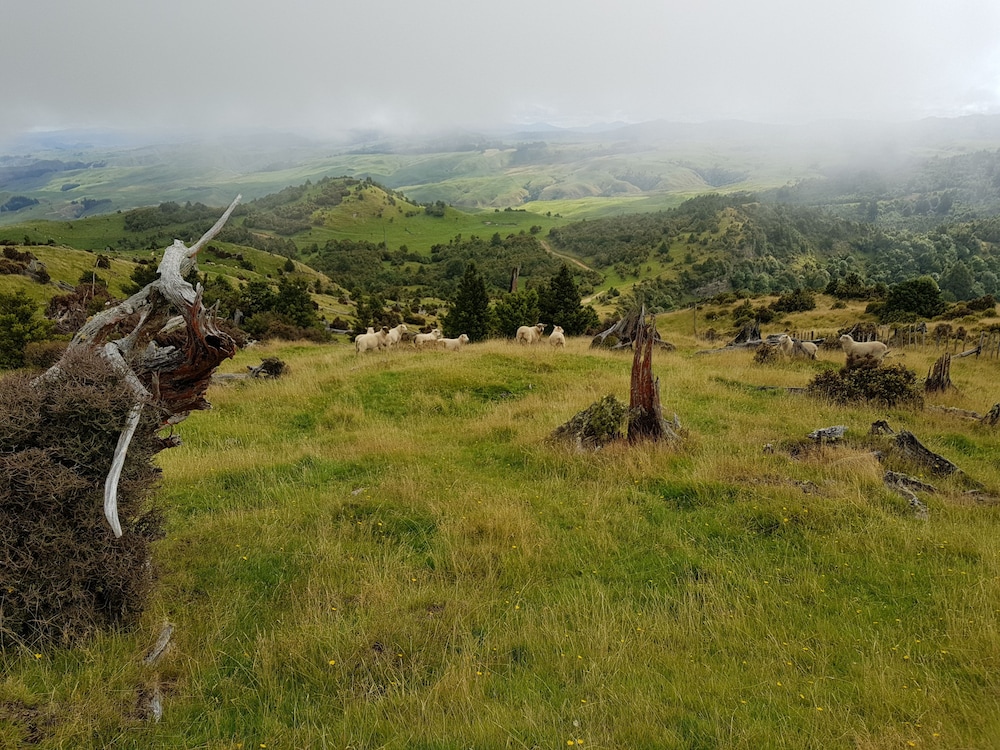 Haurata - High Country Retreat - Hostel