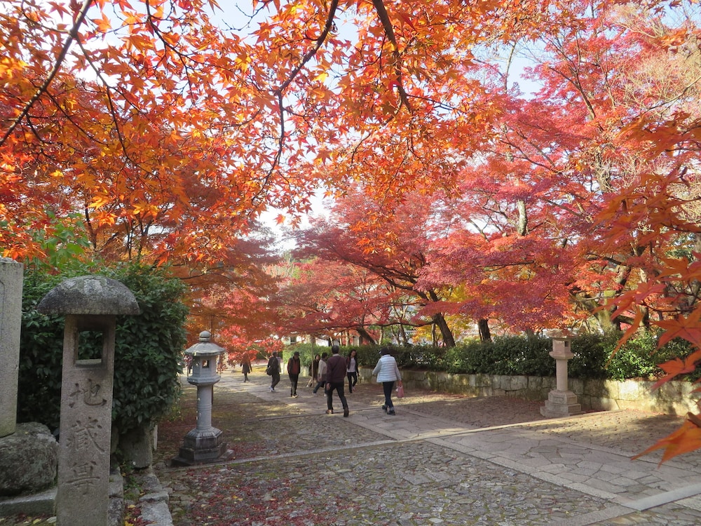 Villa Honen-in Nishi