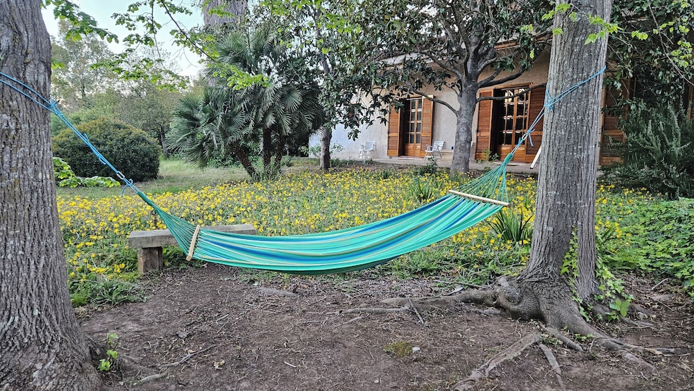 La Pineta