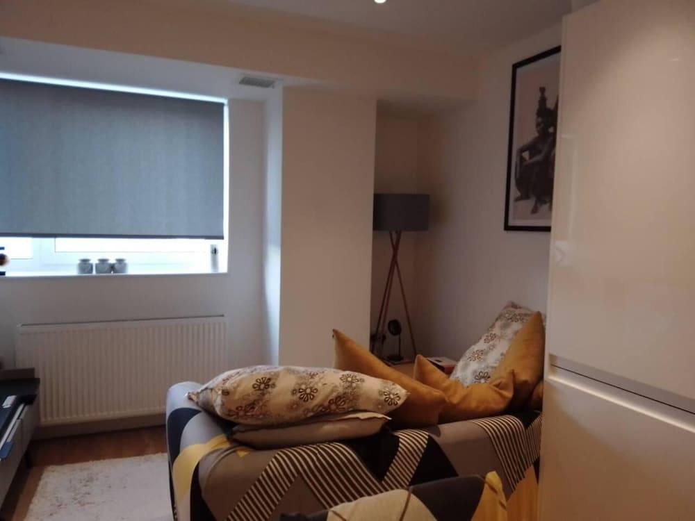 Whole Apartment 5mins to East Croydon & Concierge view 2