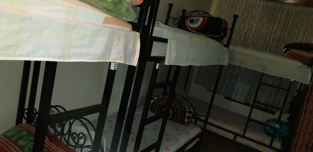 aline hostel