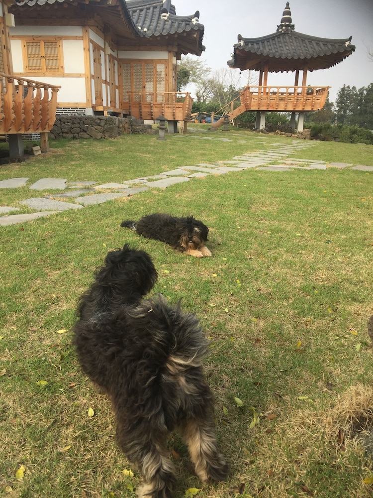 Canopus Resort Pension