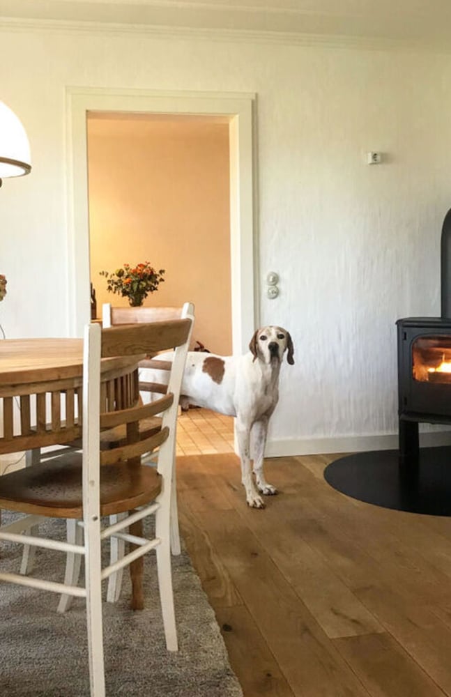 Warft Simmerdeis 2 Comfortable Holiday Residence