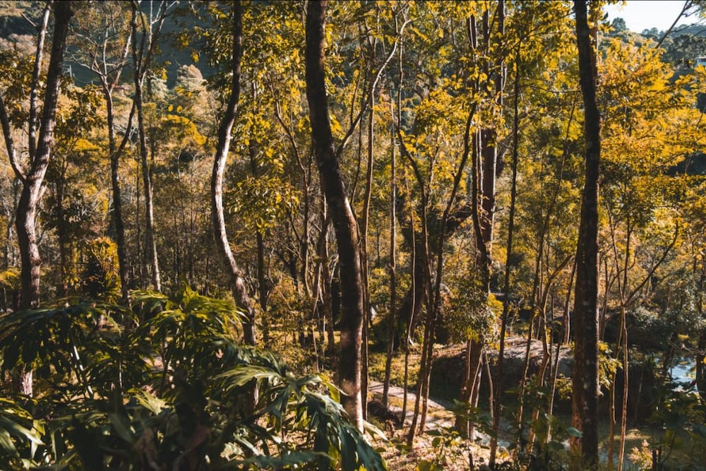 Pousada Solar d'Araucária