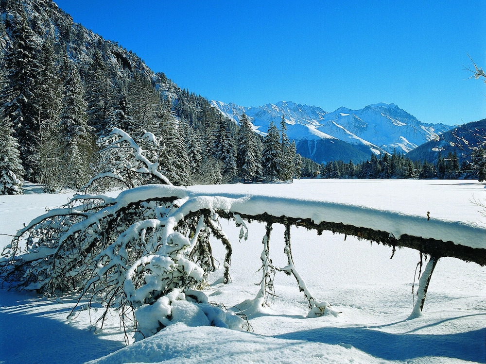 Chalet Heremence Near Les 4 Vallees Ski Area