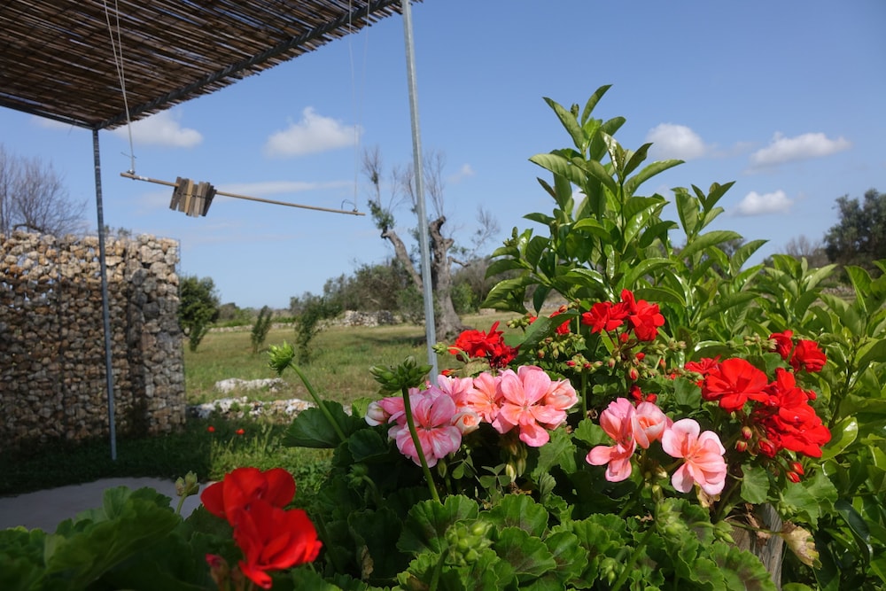 Giardino del Tempo