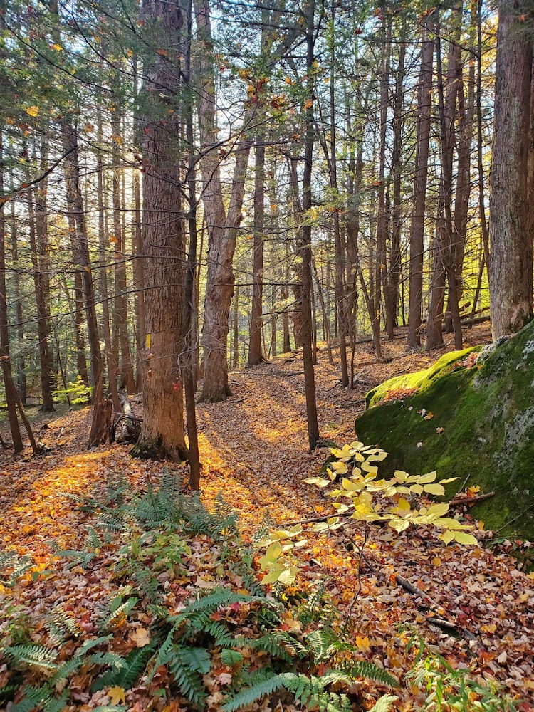 Brattleboro Vacations - The Brattleboro - Property Image 5