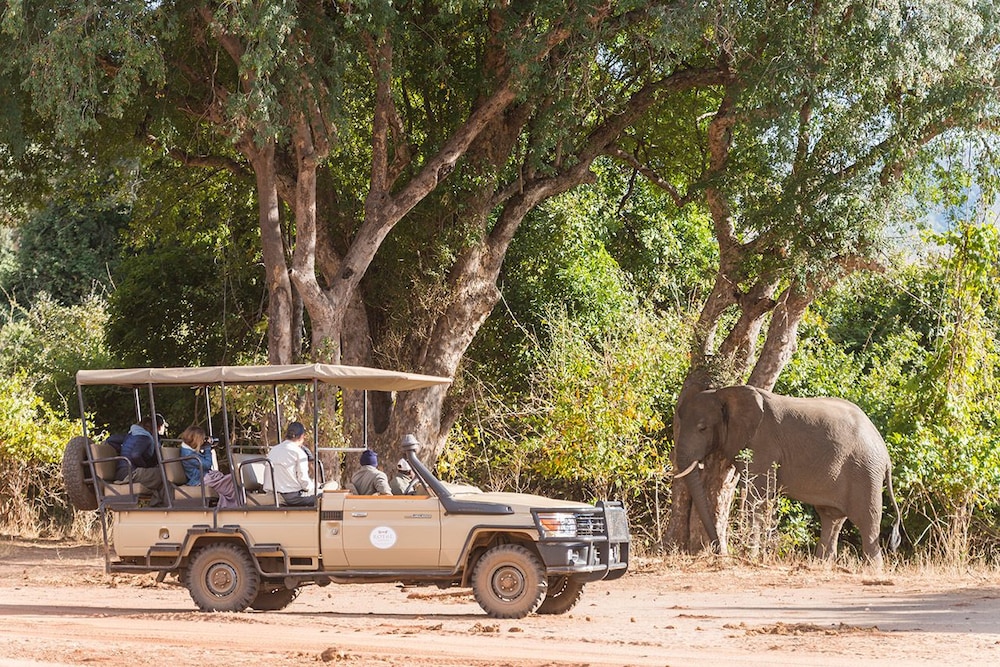 Royal Zambezi Lodge