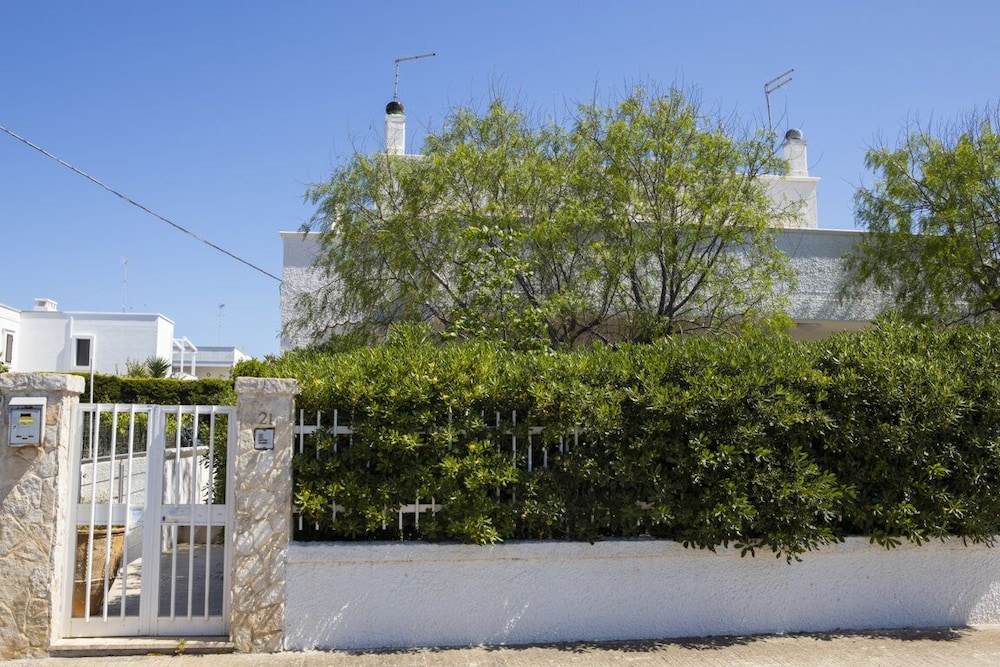 Casa Terrazzina in Torre Santa Sabina view 5
