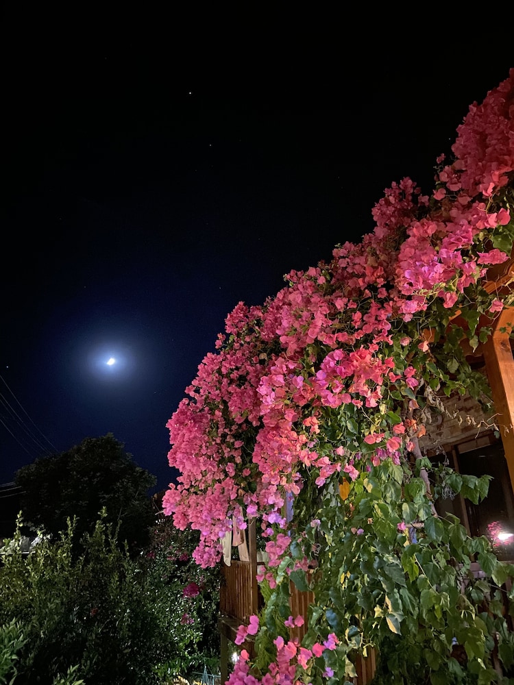 Faralya Misafir Evi - Image 58