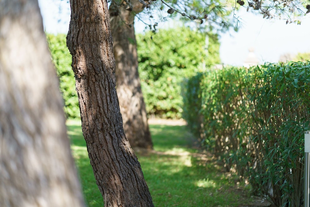 Agriturismo Serafina