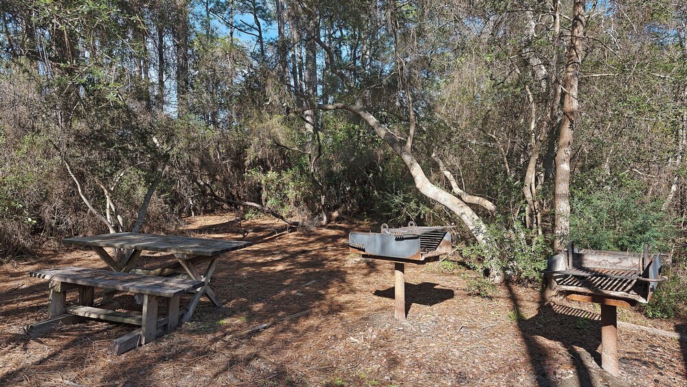 3BR Home in Seagrove Beach + Free Tickets: Bikes, Dolphin Cruise & More!