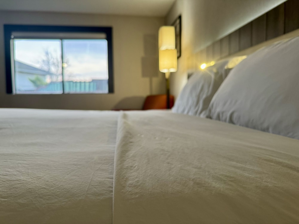 La Casa Modesto, Ascend Hotel Collection, Billede 31