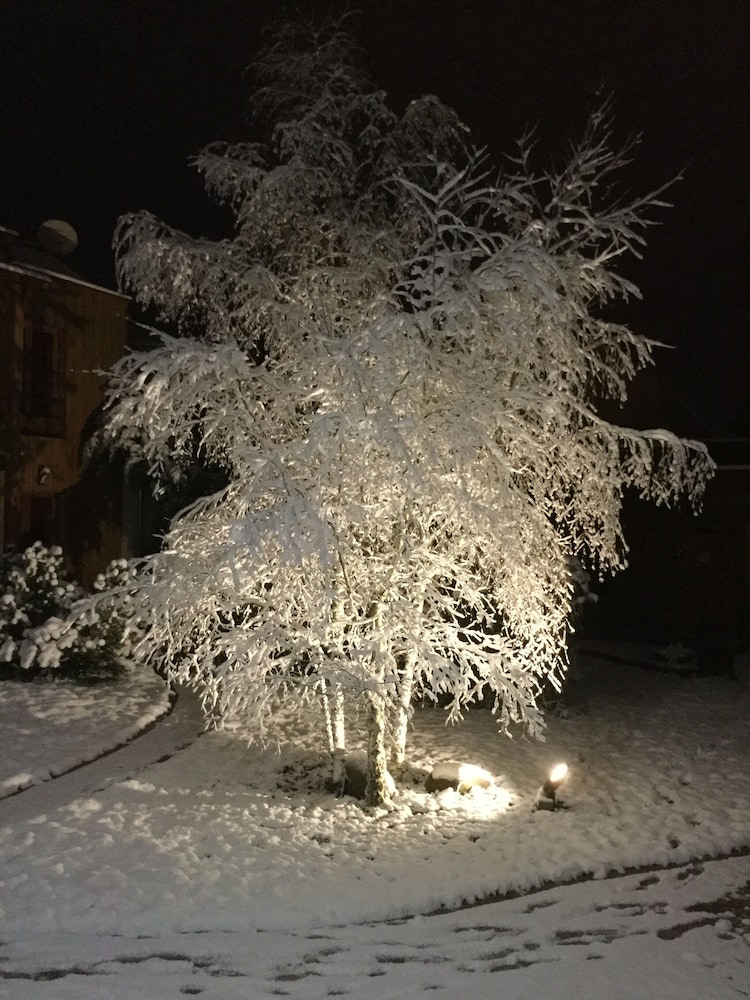 Les Crinieres en Brie