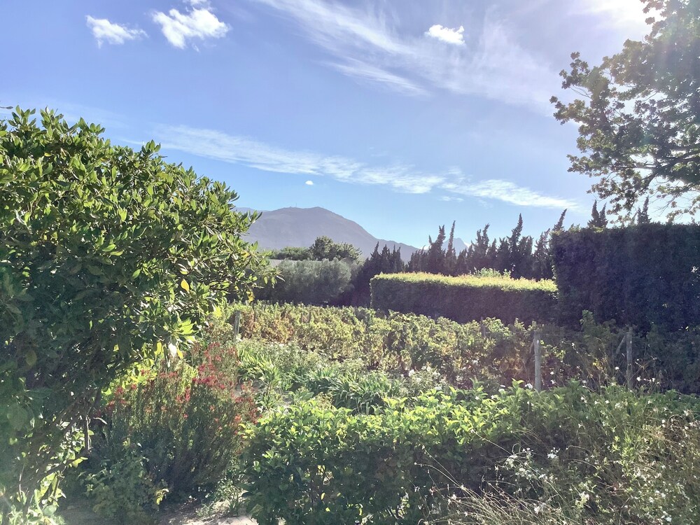 Photo 28