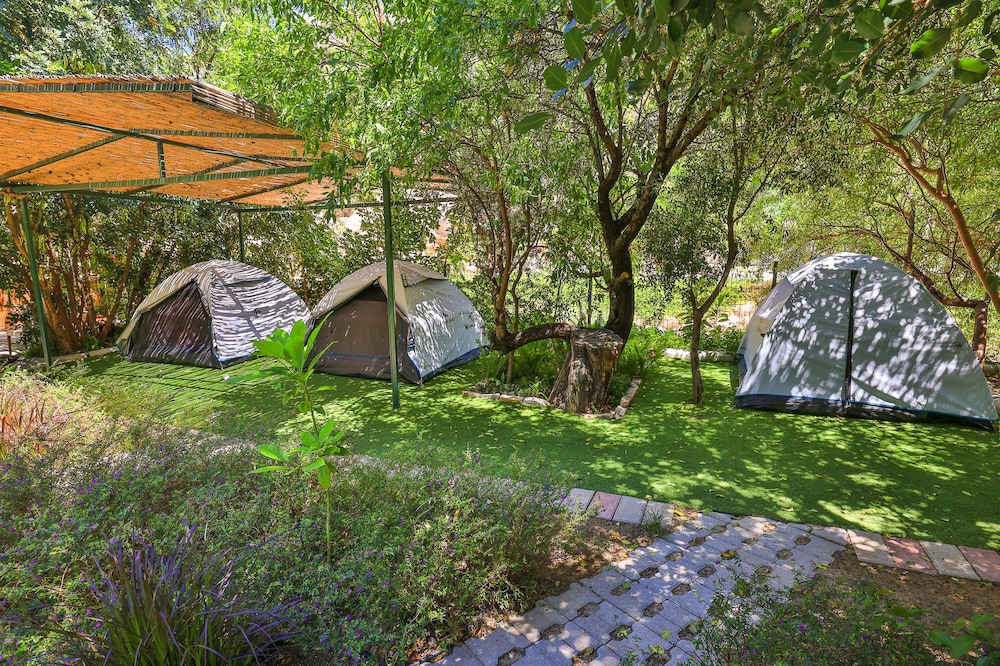 Harnup Apart - Image 30