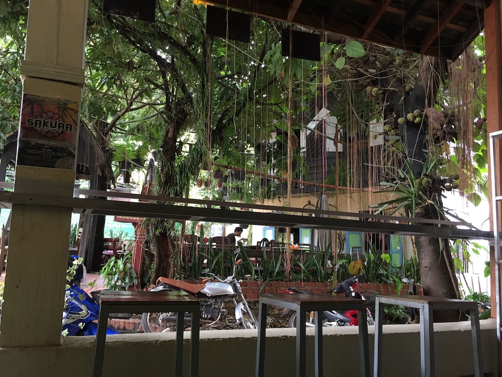 Y Not Laos Hostel