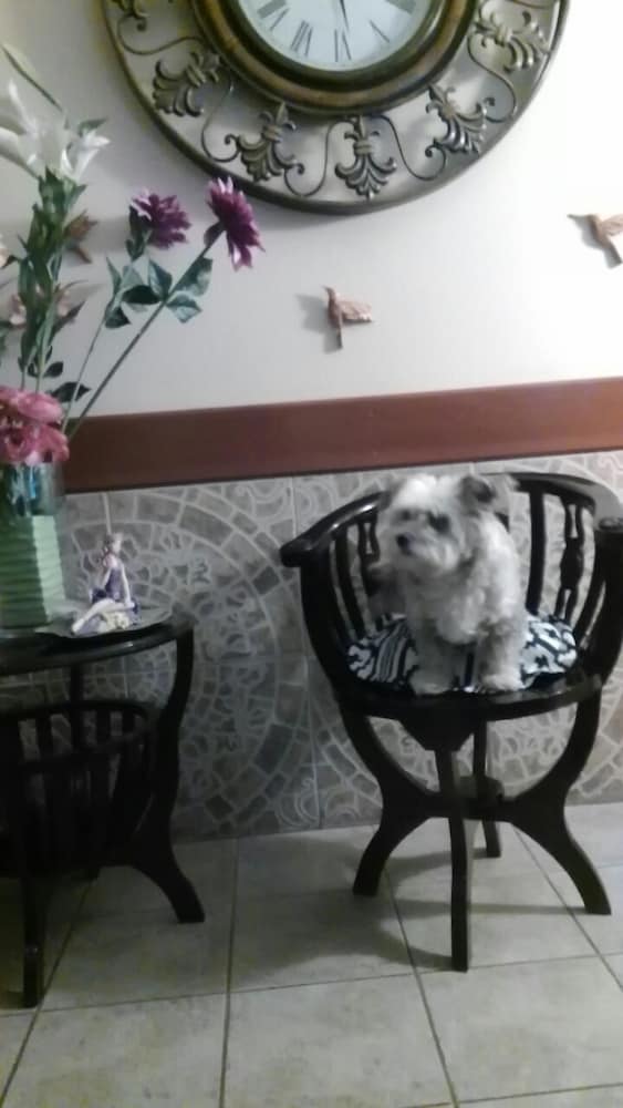 La Casa de Mia Mama