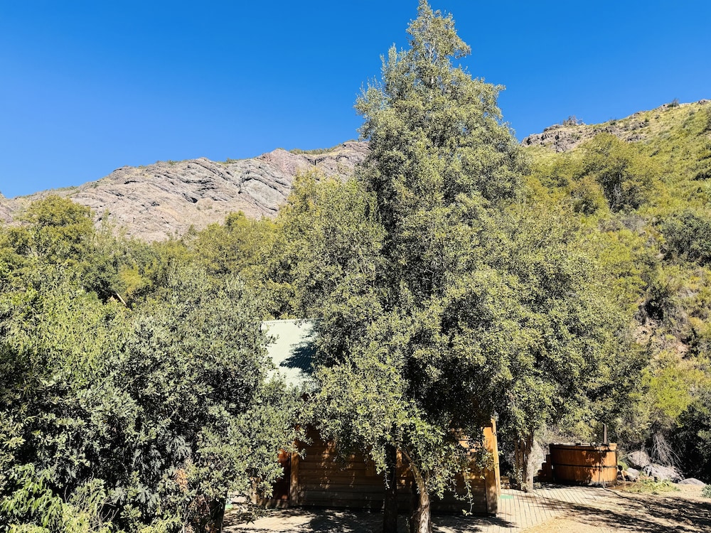 Photo 99