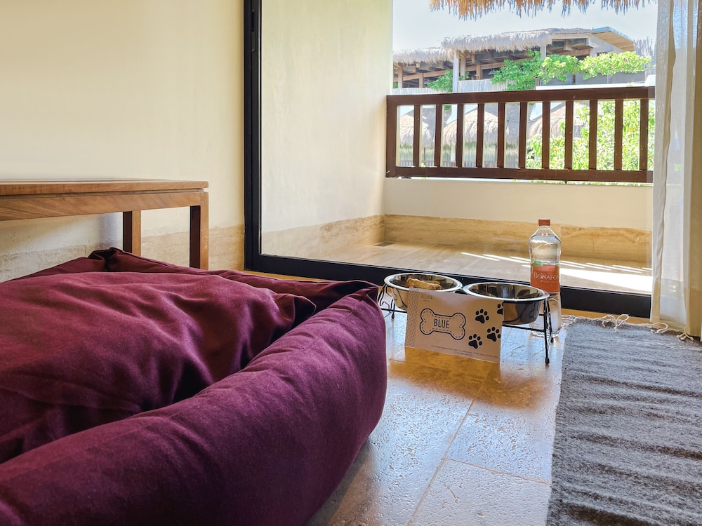 Kimpton Aluna Tulum, an IHG Hotel - Property Image 91