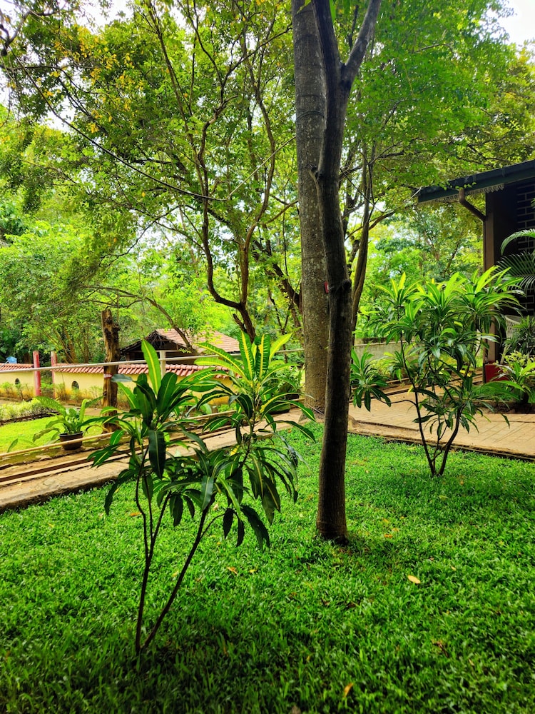 Udawalawe Safari VIllage By Plateeno