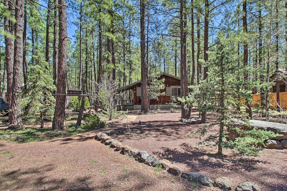 Near Hiking & Golfing: Pinetop Cabin w/ Deck view 3